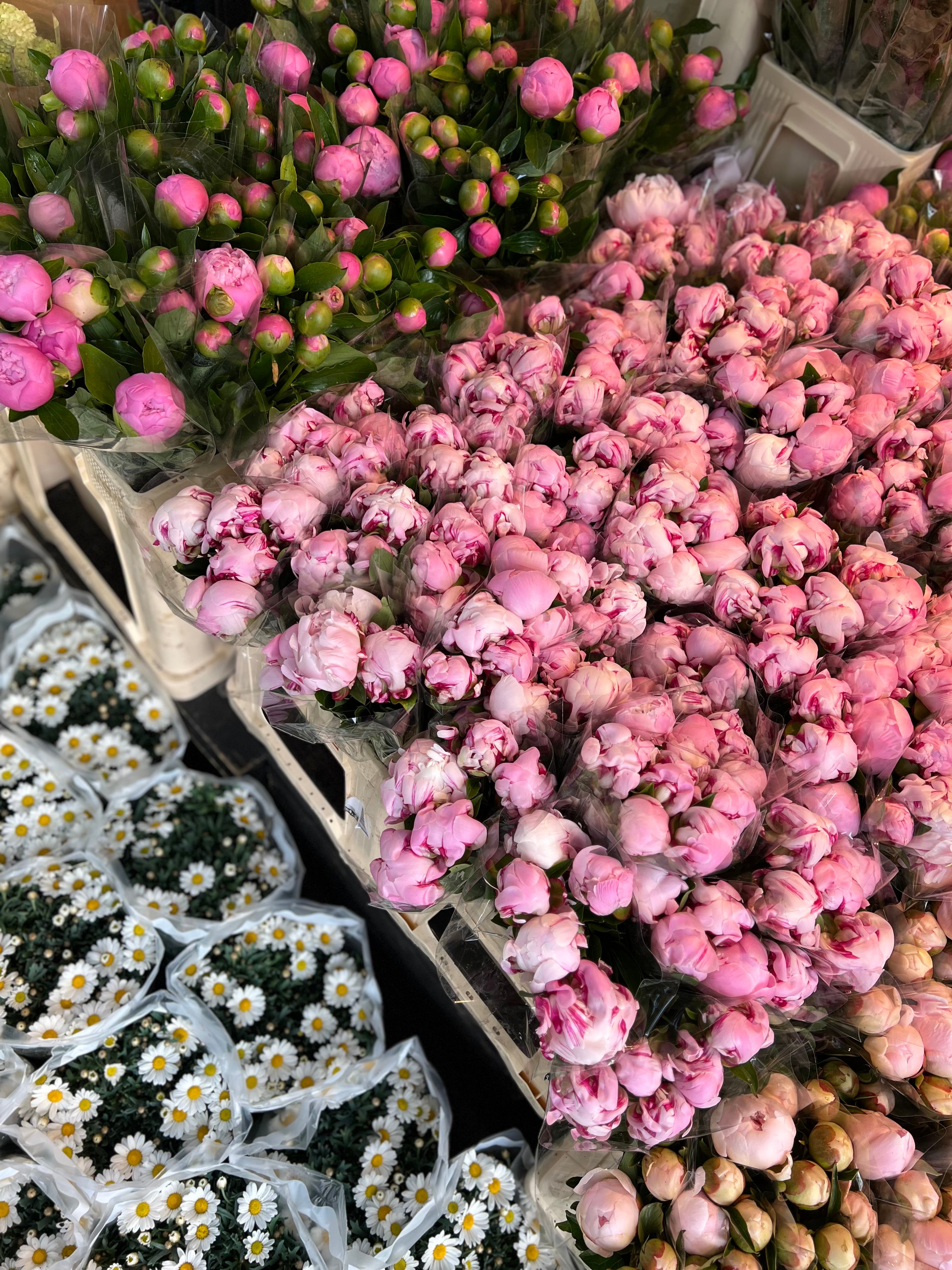 An einem Blumenmarktstand werden in Plastik eingewickelte Sträuße aus rosa Pfingstrosen und weißen Gänseblümchen präsentiert, die ein farbenfrohes und lebendiges Blumenarrangement ergeben.