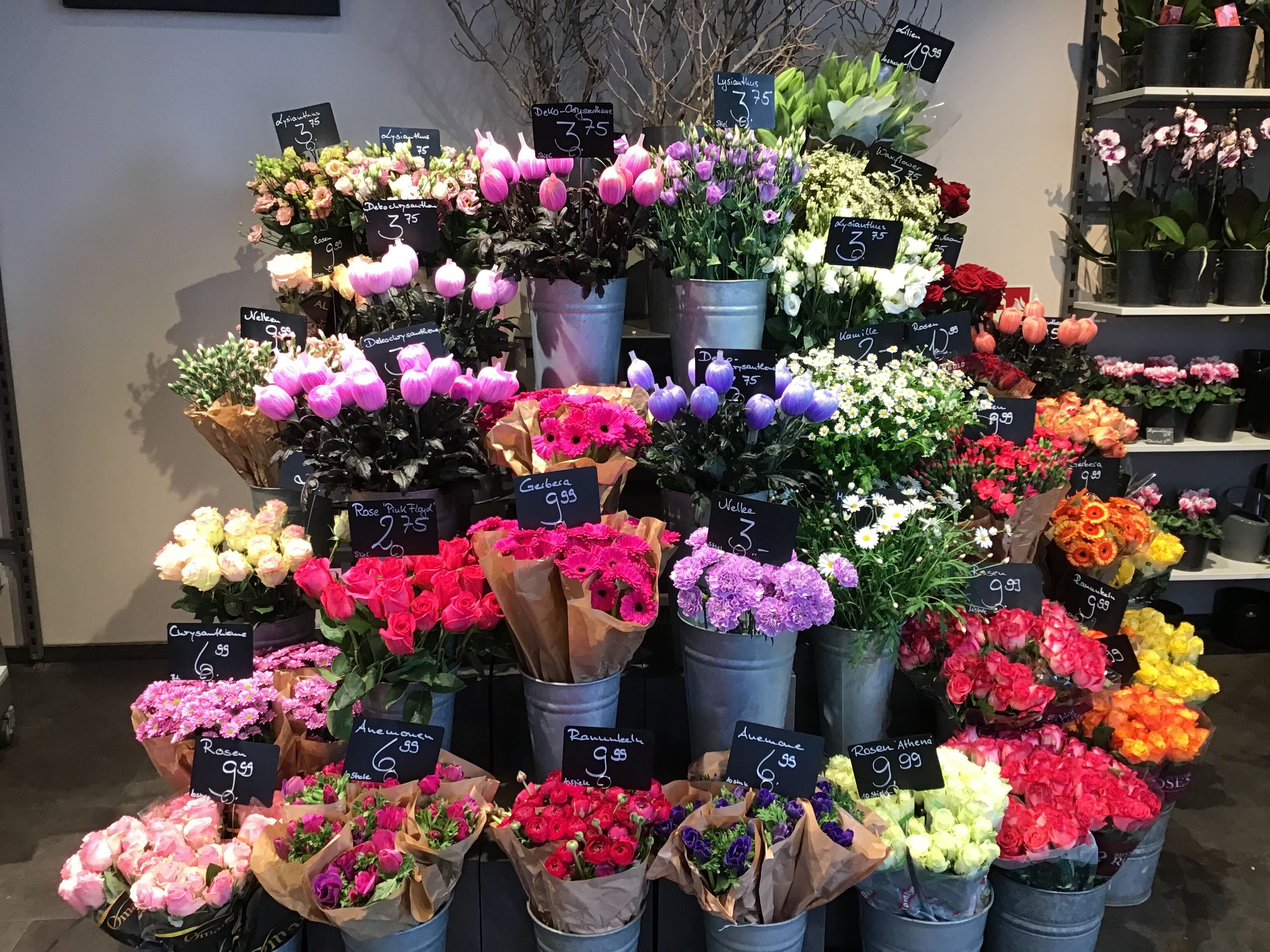 Eine farbenfrohe Ausstellung verschiedener Blumen, darunter Rosen und Tulpen, arrangiert in Metalleimern mit handgeschriebenen Preisschildern in einem Blumenladen. Die Blumen sind nach Art und Farbe sortiert und bilden so ein lebendiges, auffälliges Arrangement.