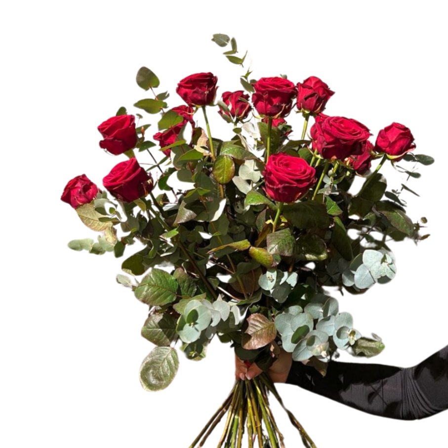 Eine Person hält einen atemberaubenden Blumenstrauß, die Königin der Herzen von florali, mit großen roten Rosen gemischt mit grünen Blättern und Eukalyptus, isoliert auf einem weißen Hintergrund.