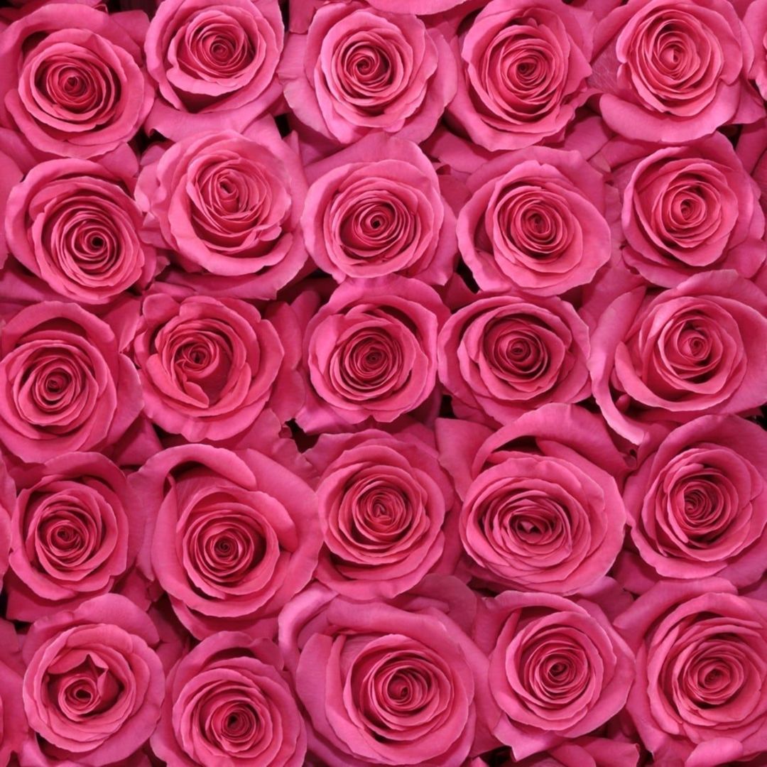 Blumen für deinen Blumenstrauß: Blumen von A bis Z