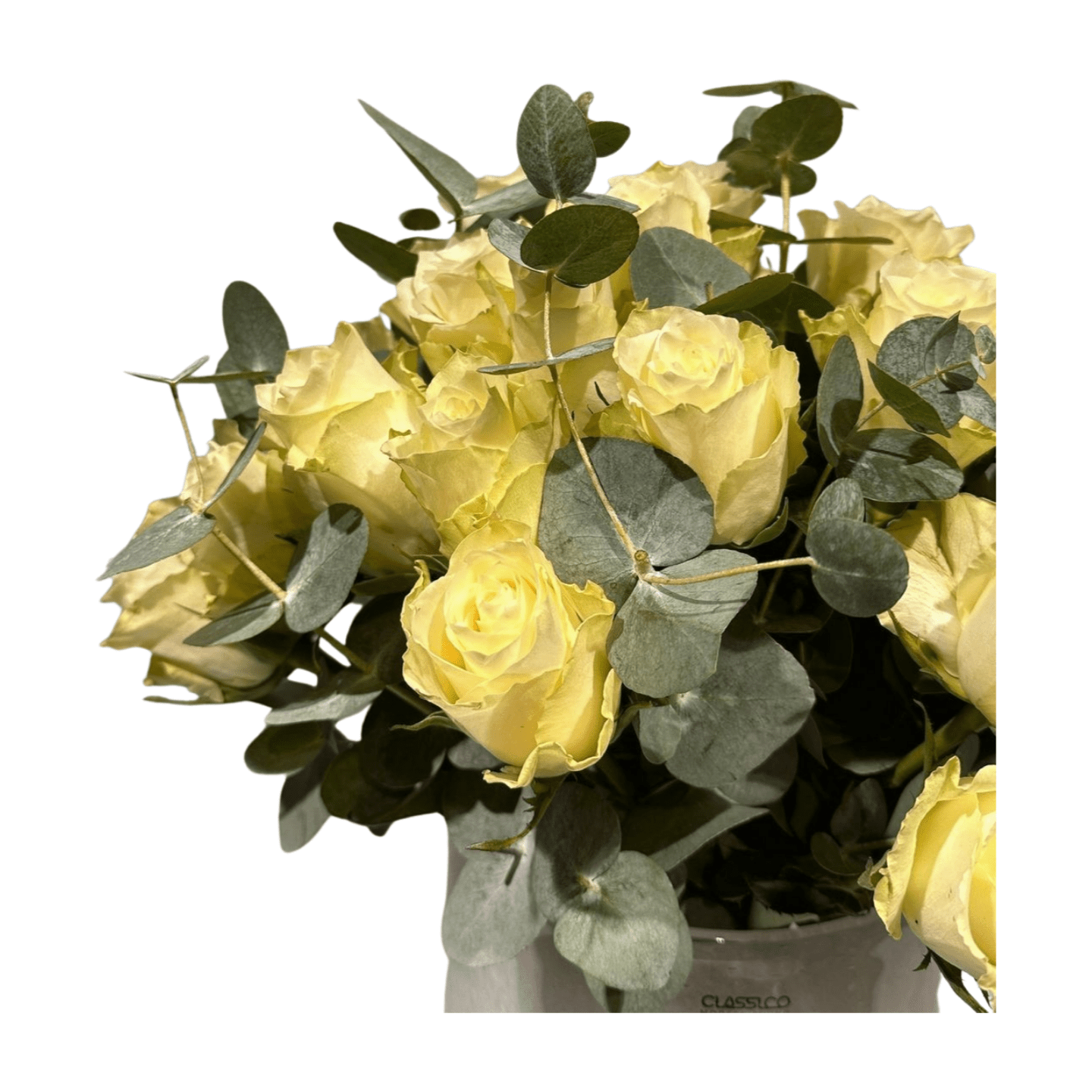 Der florale Rosentraum: Blassgelbe Rosen und Eukalyptusblätter, kunstvoll im weißen Gefäß arrangiert. Mit Frischegarantie bleibt dieses Arrangement lange schön – ein eleganter Blickfang vor weißem Hintergrund.
