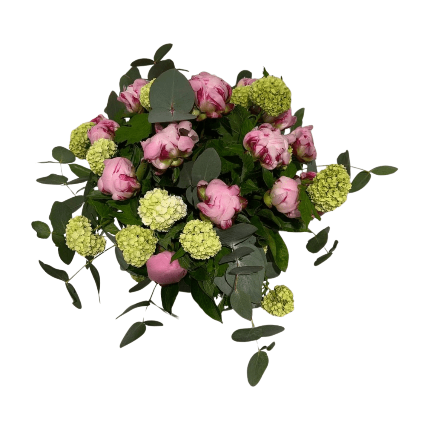 Der florali Pfingstzauber ist ein Strauß mit rosa Pfingstrosen, hellgrünen Hortensien, Eukalyptus und verschiedenen grünen Blättern, wunderschön präsentiert vor weißem Hintergrund.