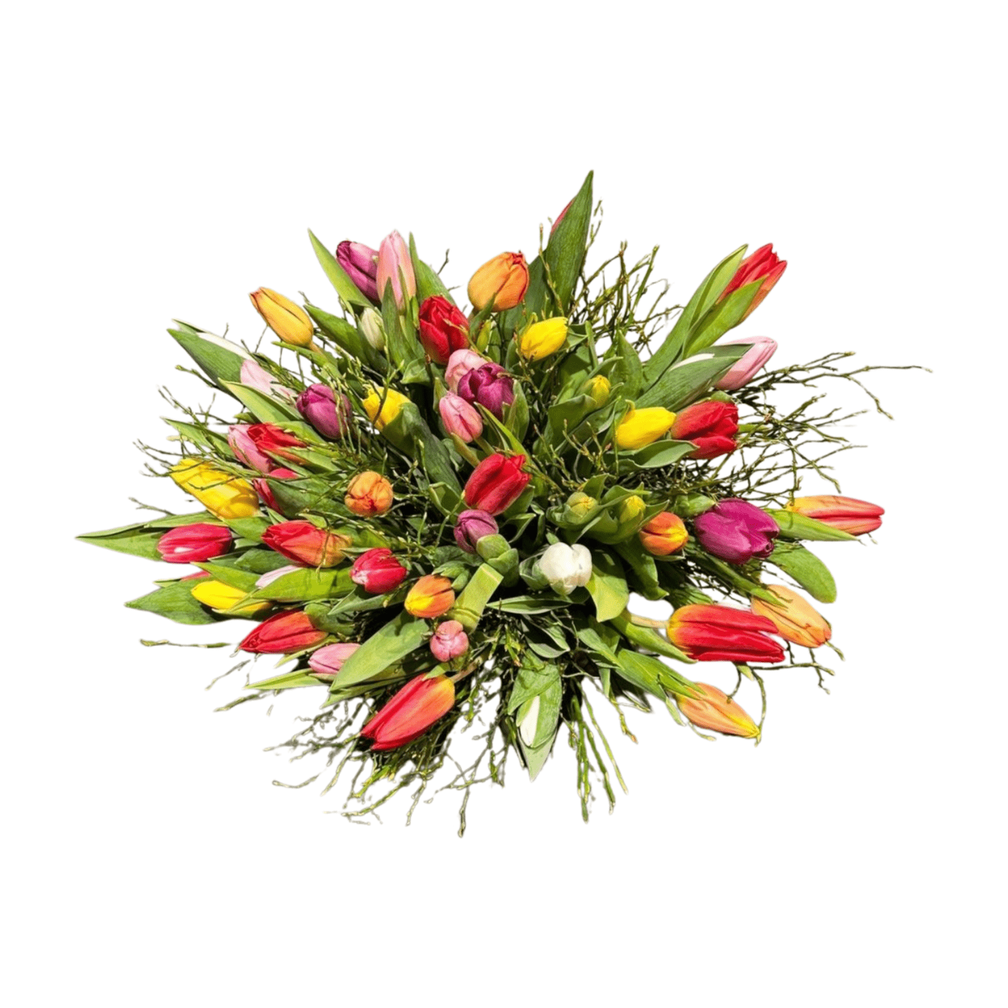Der florali Tulip Rainbow besteht aus einem farbenfrohen Strauß roter, rosa, gelber, weißer und violetter Tulpen mit grünen Blättern, Eukalyptus und dekorativen Zweigen, wunderschön arrangiert und von oben auf einem weißen Hintergrund fotografiert.