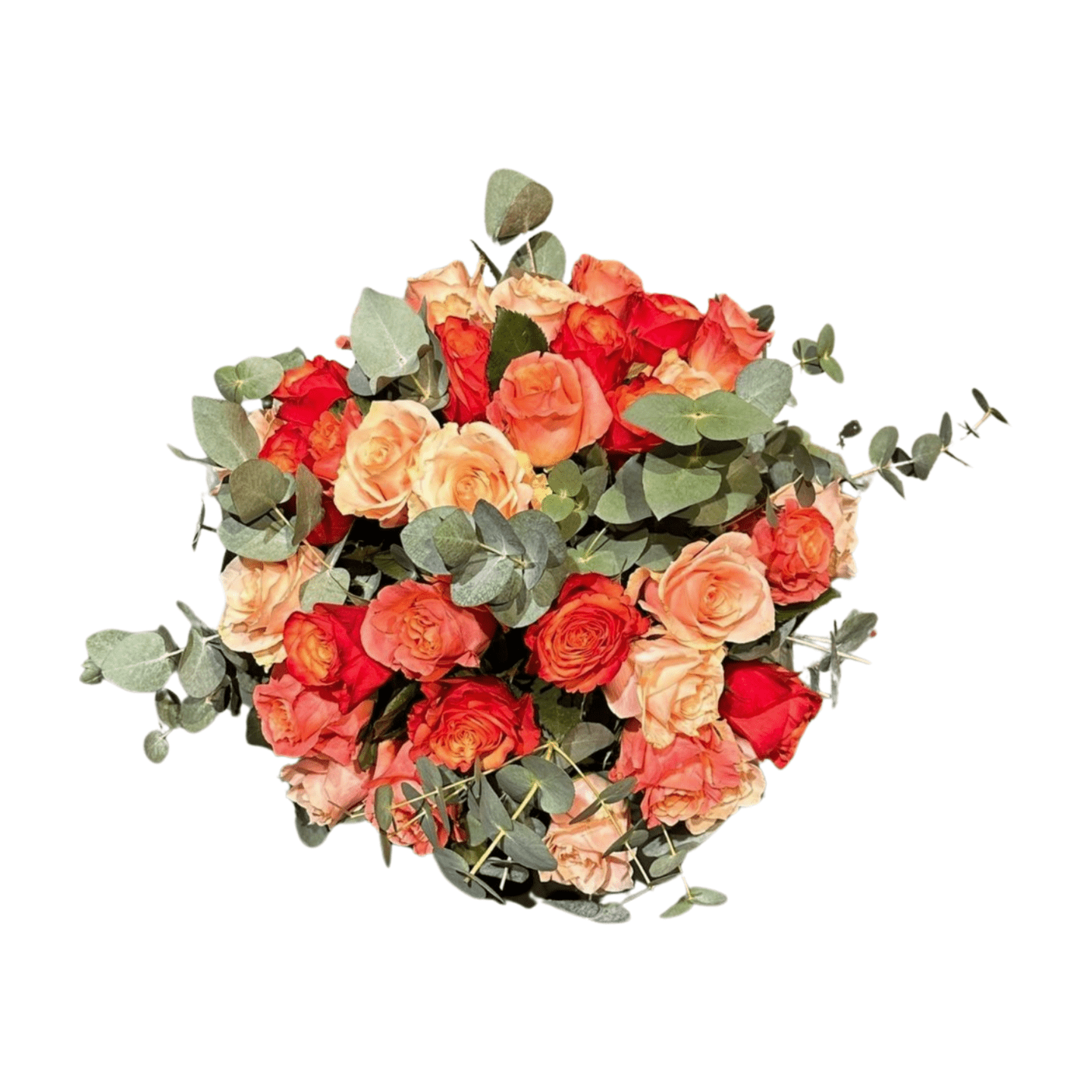Der Blumenstrauß „Little K“ von florali besteht aus orangen und pfirsichfarbenen Rosen mit grünem Eukalyptus, kunstvoll in einer runden Form auf weißem Hintergrund arrangiert.