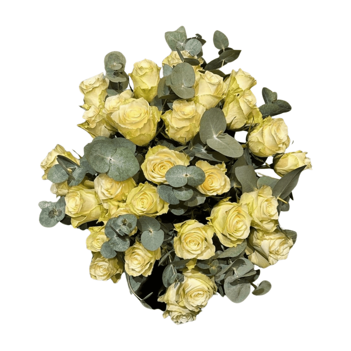 Der Blumenstrauß „Rosentraum“ von florali: blassgelbe Rosen und Eukalyptus, kreisförmig arrangiert und von oben auf weißem Hintergrund betrachtet – mit Frischegarantie.